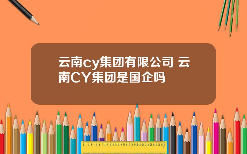 云南cy集团有限公司 云南CY集团是国企吗